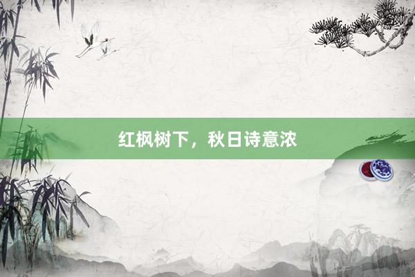 红枫树下，秋日诗意浓