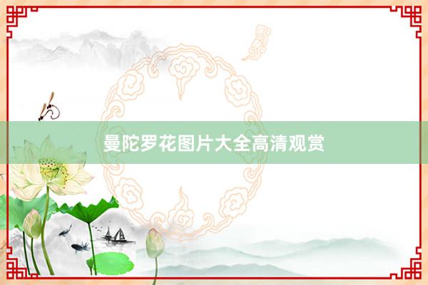 曼陀罗花图片大全高清观赏