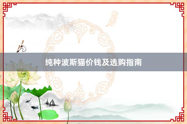 纯种波斯猫价钱及选购指南